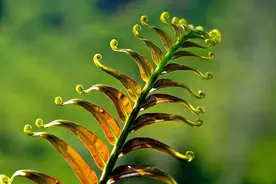 周云海：溯寻烟火气图片