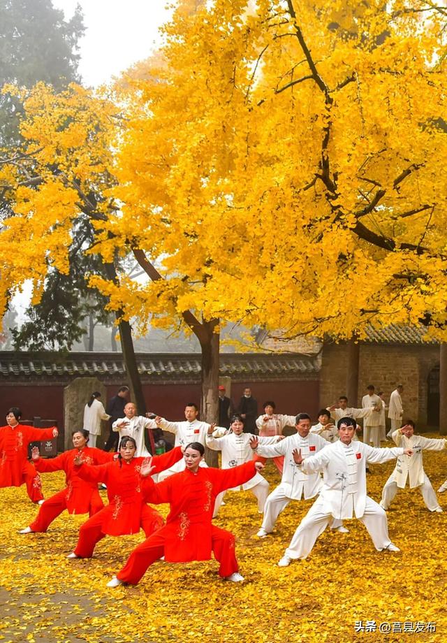 「 日 照 」 为何能成为康养优选地？