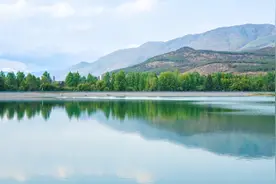 夏天可常喝这4种茶，益气生津、开胃解暑图片