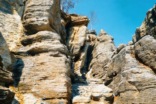 黄山脚下西递石林，探秘大地上的“龙骨”，一场2亿年的时空穿越