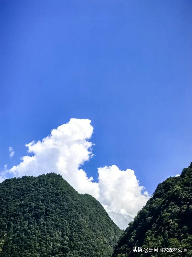 西安人注意！秋天别宅了！自驾2h直达“神仙氧吧”！