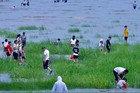老话说，不怕入伏晴，就怕入伏雨，入伏下雨有什么征兆呢？图片