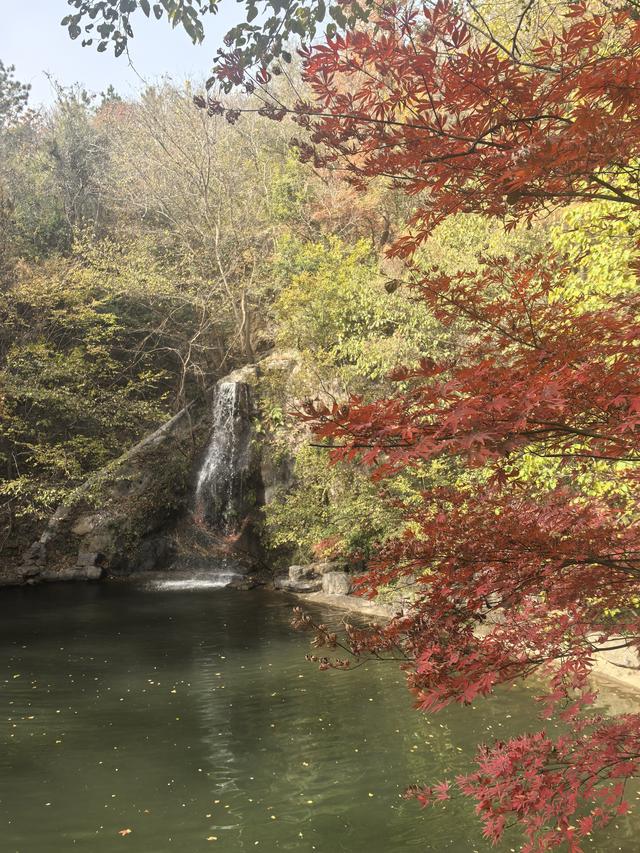 南京栖霞山一日徒步，游千年古刹，看漫山红叶