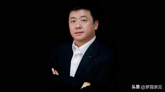张学政与闻泰的崛起为何栽在荷兰安世