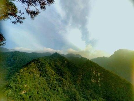 石斛的主要产地 2025年铁皮石斛的主要产地