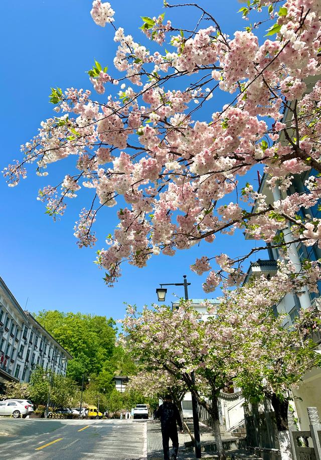 谁懂！陕西这座隐秘小县城，去了直接不想走