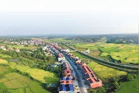 乡村振兴丨岳阳县柏祥镇：解锁共富“方程式” 浇开和顺“幸福花”图片