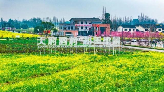 崇州银发康养游线路来啦~带上爸妈解锁！