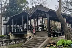 浦东第一镇图片