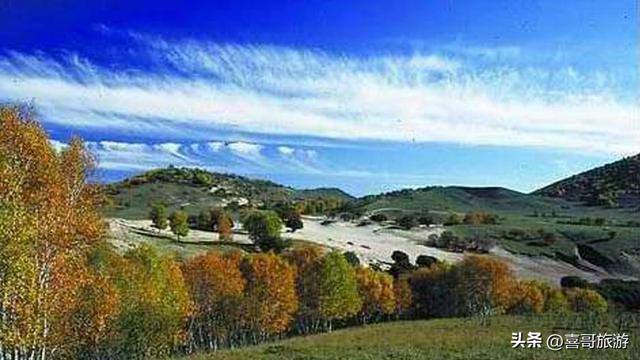 探秘东沟湿地狩猎区：一场原始野味的自然交响曲