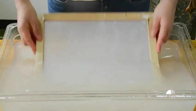 这届春假，临安申请出战！