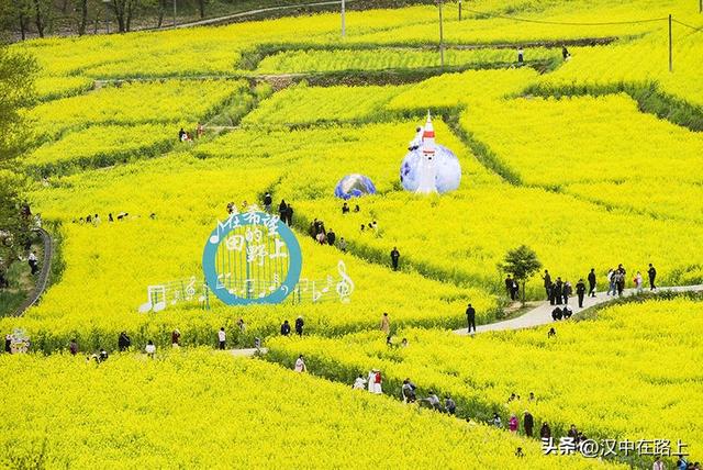 春风十里汉中路：120 公里花海茶园摄影环线