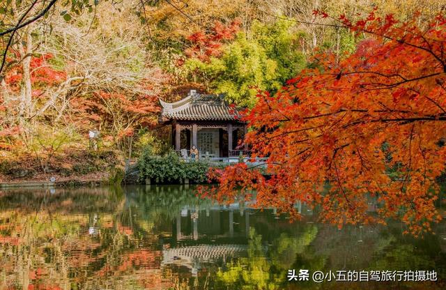 南京栖霞山赏枫实测攻略！四大赏枫地之首，免费入园 + 路线 + 出片