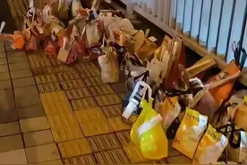 “胖猫”姐姐发声！网友点外卖祭奠“胖猫”却遇“空包”，茶百道、蜜雪冰城、华莱士等品牌道歉图片