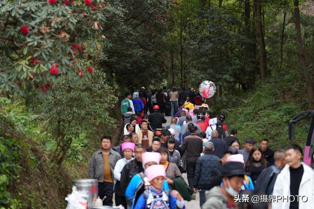 长顺杜鹃湖：人山人海真热闹，山歌花海等你来