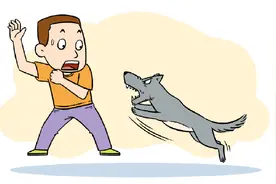 一文读懂狂犬疫苗图片