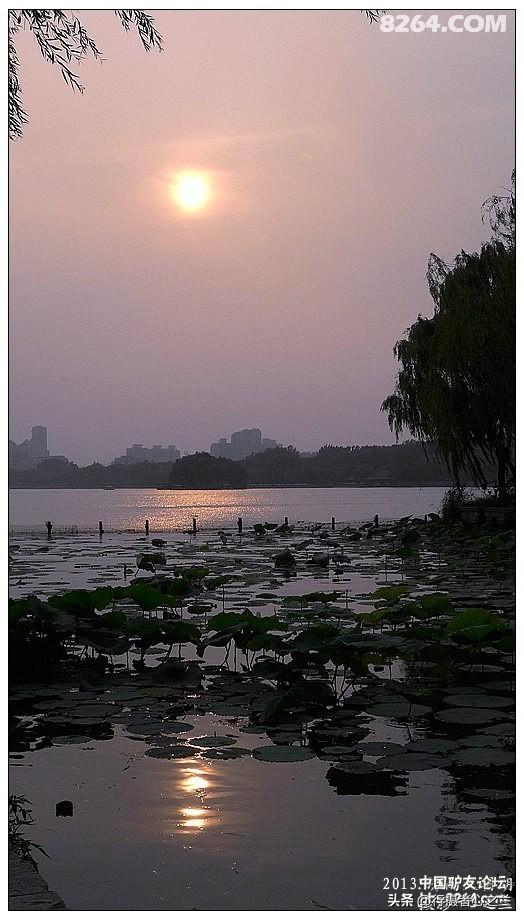山东行游影记（13）—济南大明湖（二）