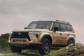 聚焦｜豪华进口车2024年：挑战中前行图片