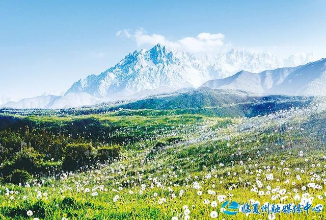 走进避暑天堂 畅游清凉秘境——沿太子山旅游大通道自驾之旅