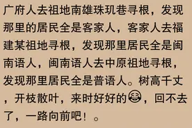 广东的小伙伴们，你们的DNA是不是也带着点胡辣汤味儿？图片