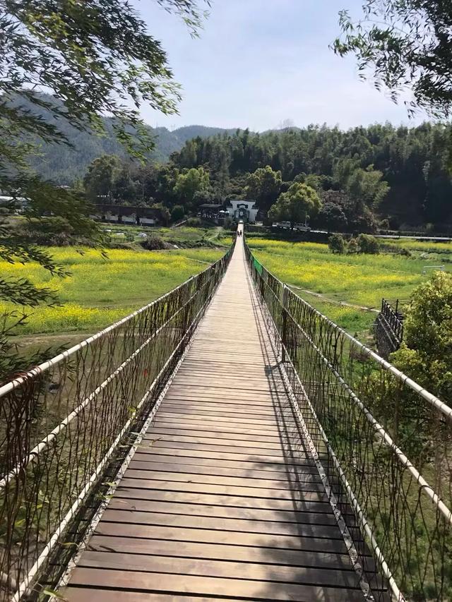 南昌梅岭封神!藏在市区的“小庐山”,40分钟直达的春日宝藏地