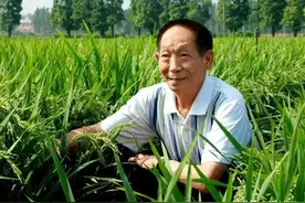 我国十大国宝级人物，十艘航母都不换，都是各个领域的先驱者图片