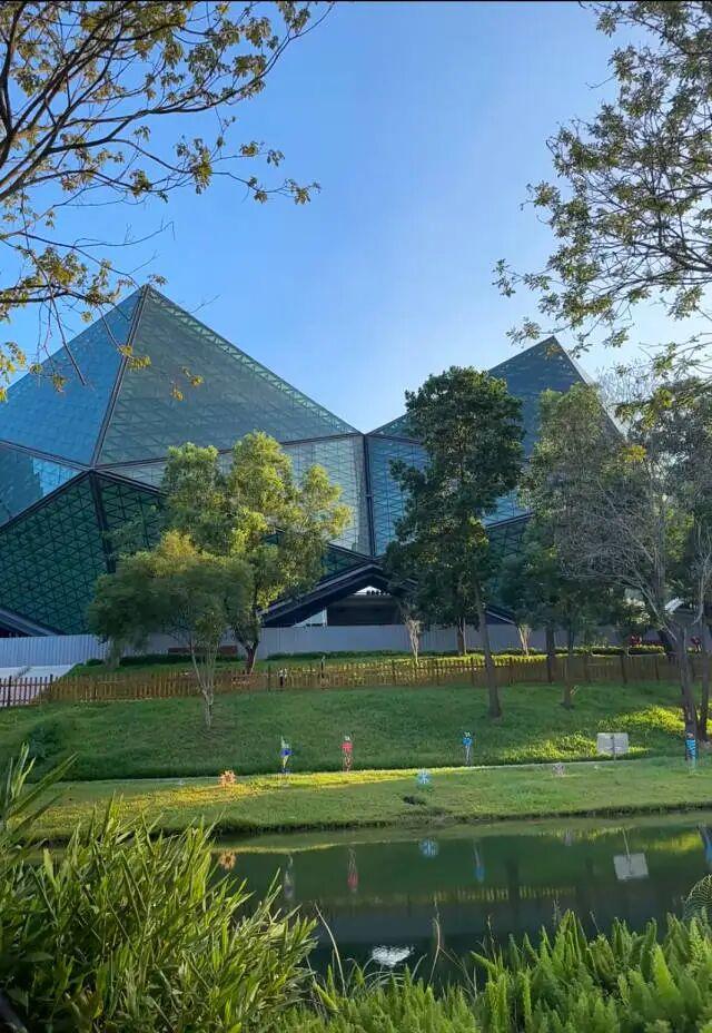 跟着全运“趣”龙岗！吃喝玩乐全攻略来啦~