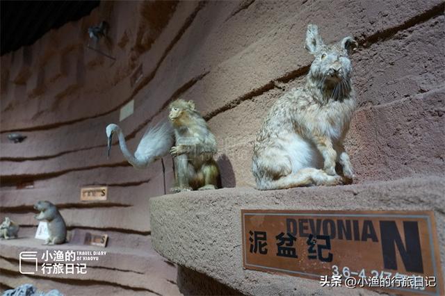 陕西黄河边有座石头博物馆，门口看着不起眼，里面藏着“大宝藏”