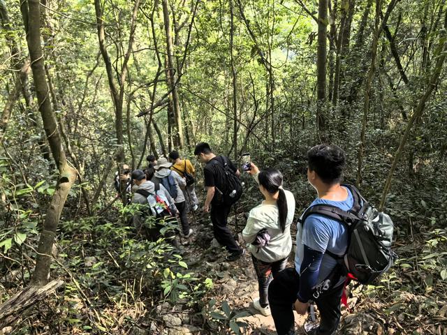 带小朋友去贵州茂兰,连环探洞加漏斗原始森林徒步二日游全攻略!