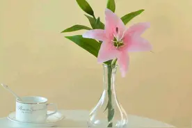 记住：嘴就是你一生的风水，关系再好，也不要说这几句话！图片