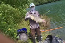 野钓鲢鳙保姆级教学，从鱼竿到饵料再到钓法，一次讲清楚图片