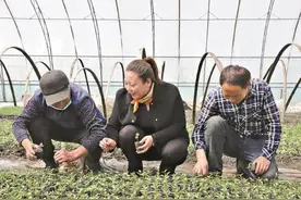 从小贩到“辣椒女王”，年赚千万！这个女人不简单！图片