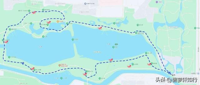 北京玉渊潭，赏樱正当时