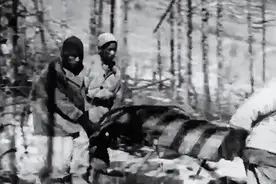 抗美援朝唯一的被俘中国女兵，她遭遇了什么？后来怎么样了？图片