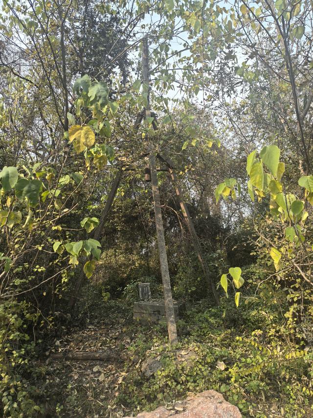 南京幕府山（东线）郊野徒步