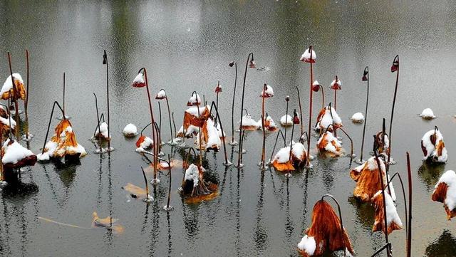 泰湖之美，不止四季！