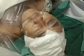 绝望！爷爷被打进ICU，18岁孙子“投河”身亡，村霸仅拘留15天！图片