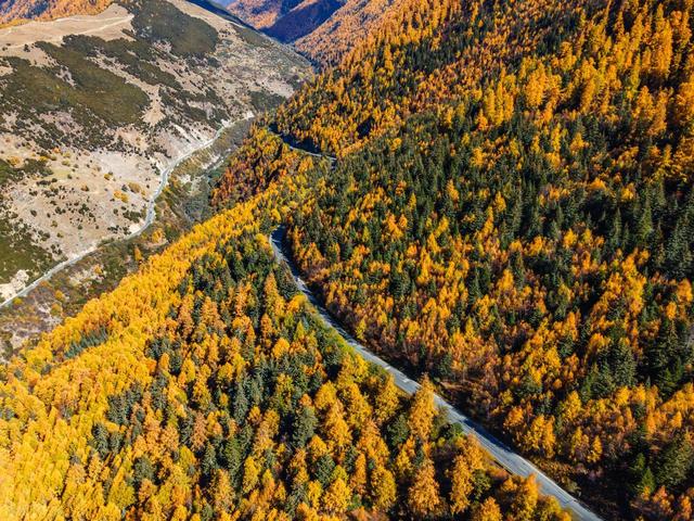 秋冬景观大道，10月下旬-11月，适合自驾赏秋的6条线路