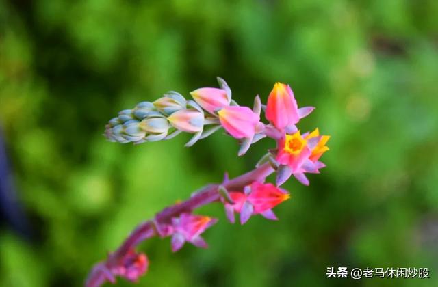 我带着相机，在耿达避暑