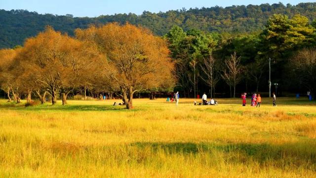 明确了！这些景区对全国公安民警免票！