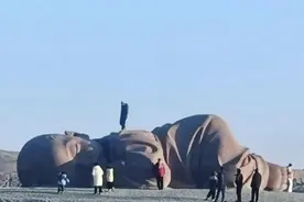 有游客踩踏“大地之子”，当地回应图片