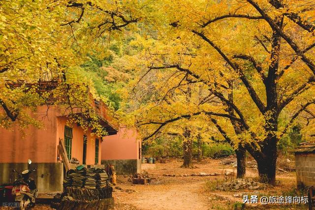 11 月不乱跑，这 10 个地方人少景绝，错过等一年的秋日盛宴