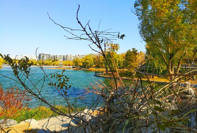 狂风散尽现碧空 北京市民陶然亭公园共赴“大风蓝”之约