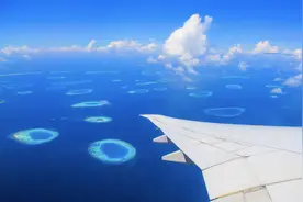 实践出真章，地表最强选岛攻略！图片