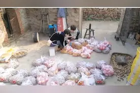 封窗户，买山果一年又一年 爱又一次在深秋温暖抵达图片