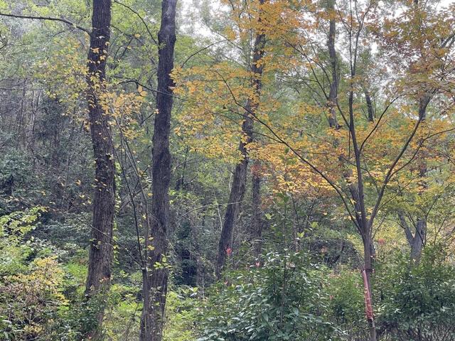 骑游探访滁州小蓝湖“蓝眼睛”白米山矿坑
