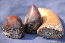 农村家中若有这6样老物件，请藏好，一不小心能让三代人翻身图片