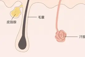 早报推荐丨全身上下，为什么“脸”最爱出油？图片