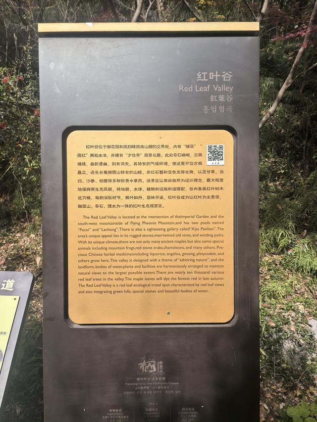 南京栖霞山一日徒步，游千年古刹，看漫山红叶