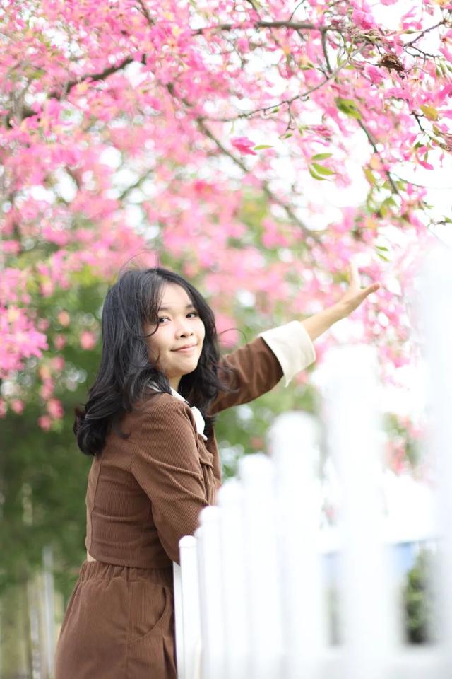 秋意浓，花开正艳！这周末，来东莞万江赏花秋游吧！